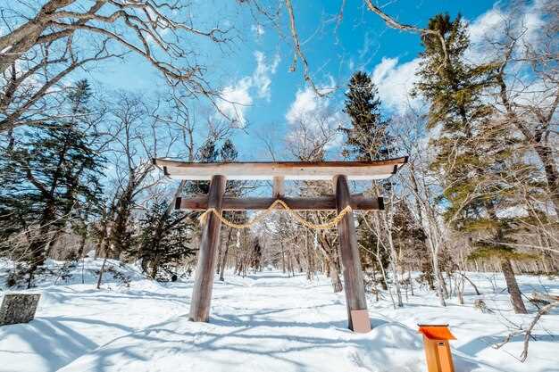 呉羽ハイツ富山：魅力的な住環境と暮らしやすさ徹底ガイド