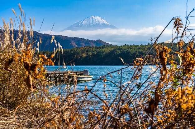 富山県呉羽 khám phá vẻ đẹp lịch sử và thiên nhiên trù phú